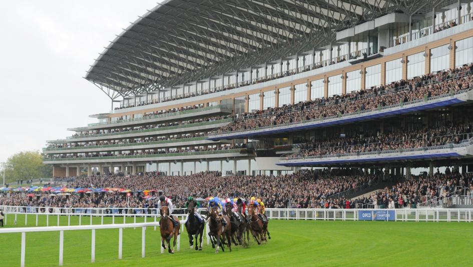 39 HQ Pictures Nbc Sports Tv Schedule Horse Racing Thurles racecard